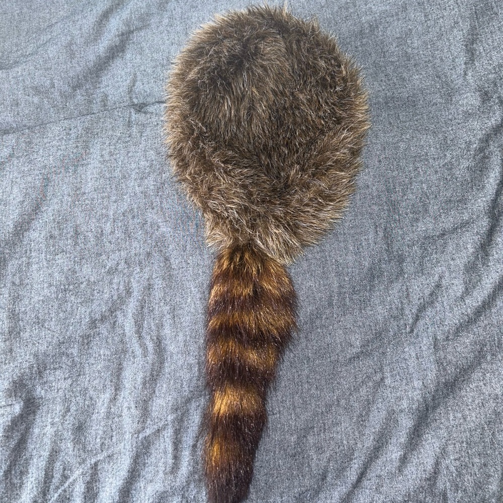 Raccoon Skin Cap